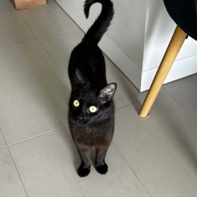 Photo of Elsie 