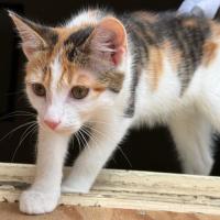 Photo of Finlay & Isla