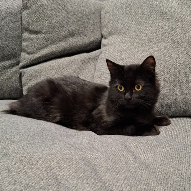 Photo of Raya