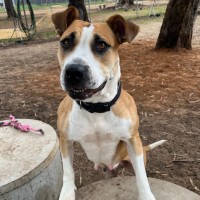 Photo of Ruby