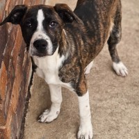 Photo of Molly