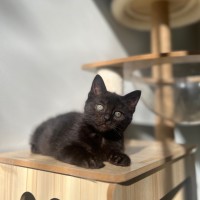 Photo of Ember ❤️‍🔥