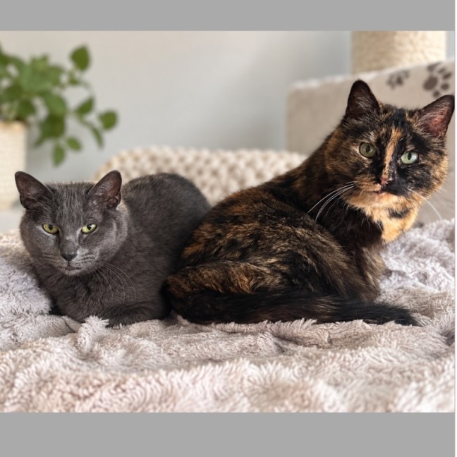 Photo of Hattie & Millie 