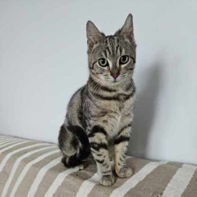 Photo of Mia