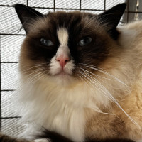 Photo of Molly And Maddox 