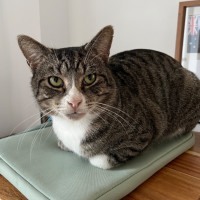 Photo of Mini Me