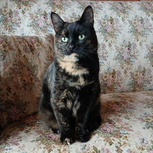 Photo of Josie 