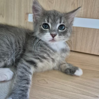 Photo of Clarissa 🌷🌷