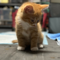 Photo of Charming