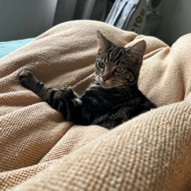 Photo of Millie