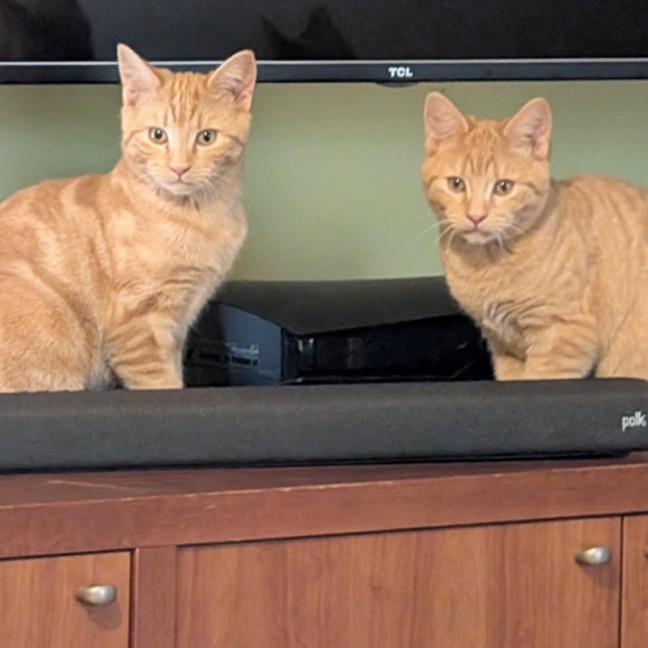 Photo of Arya And Sansa