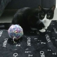 Photo of Wilma