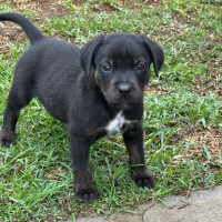 Photo of Zac 💙🐶