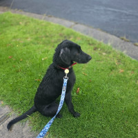 Photo of Wigglatha