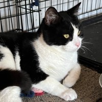 Photo of Felix   Can Transport To You