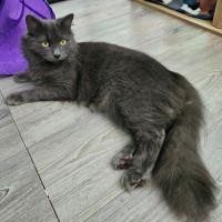 Photo of Sandra