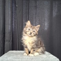 Photo of Brenda