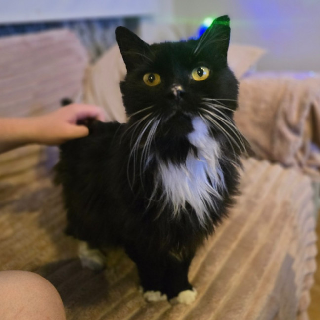 Photo of Boots (Located In Wantirna South)