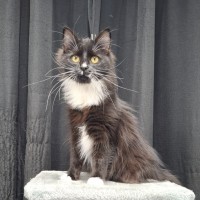 Photo of Angela