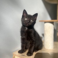 Photo of Ember ❤️‍🔥