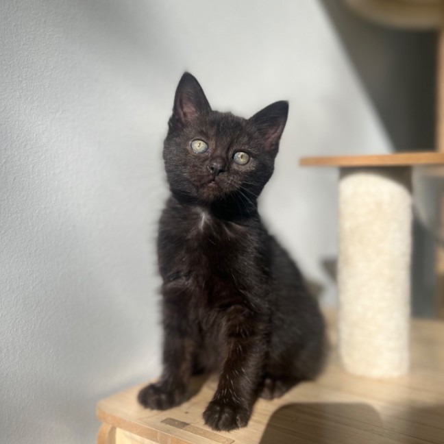 Photo of Ember ❤️‍🔥