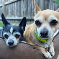 Photo of Bonnie Parker & Clyde Barrow