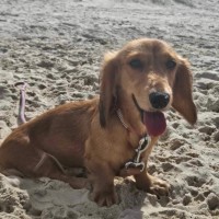 Photo of Sophie