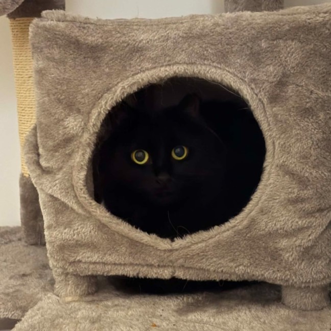 Photo of Peggy