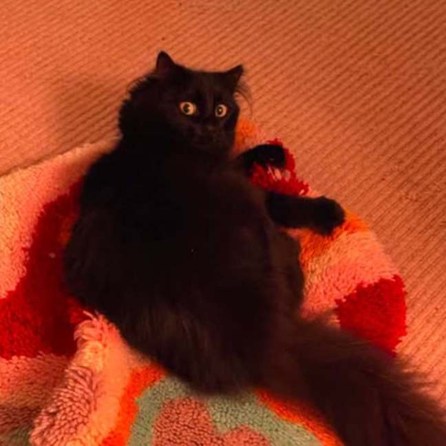 Photo of Peggy