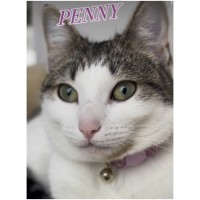 Photo of Penny