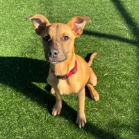 Photo of Jesse Imp 1125