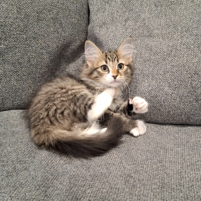 Photo of Winnie