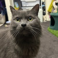 Photo of Blue