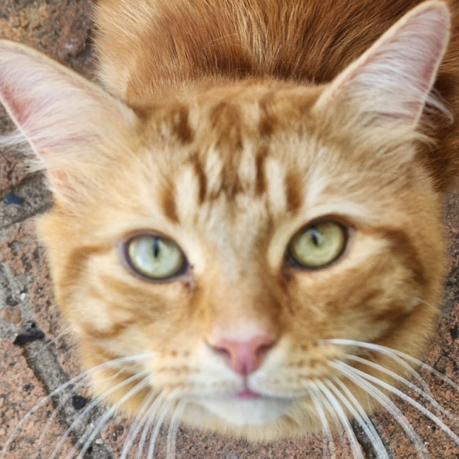 Photo of Mr Tinkles