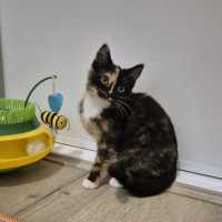 Photo of Lulu