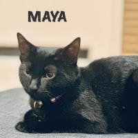 Photo of Benito & Maya