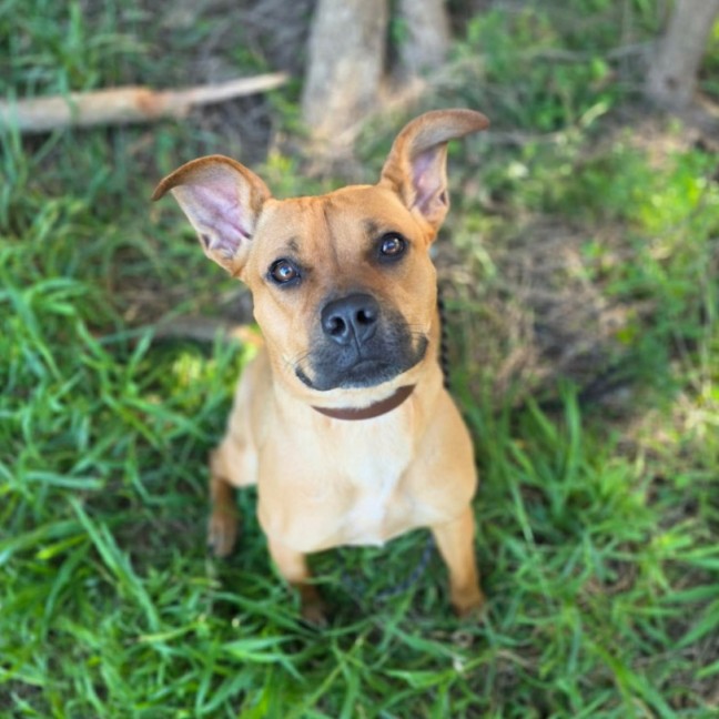 Photo of Kodah