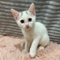 Photo of Luci