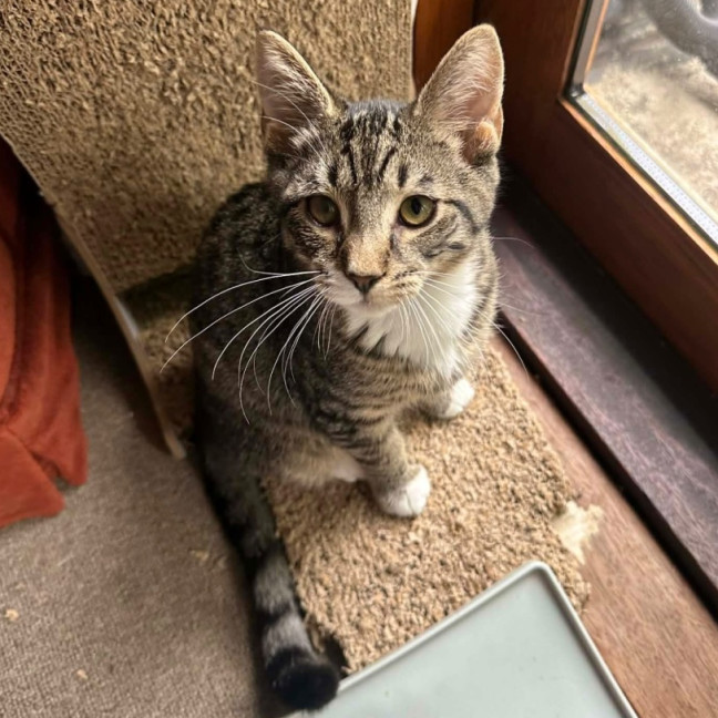 Photo of Chad   Meet Me @ Petstock Prahran 29/3!