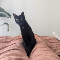 Photo of Daria