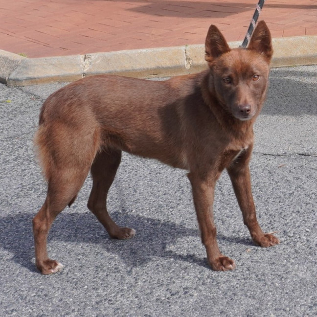Photo of Chili