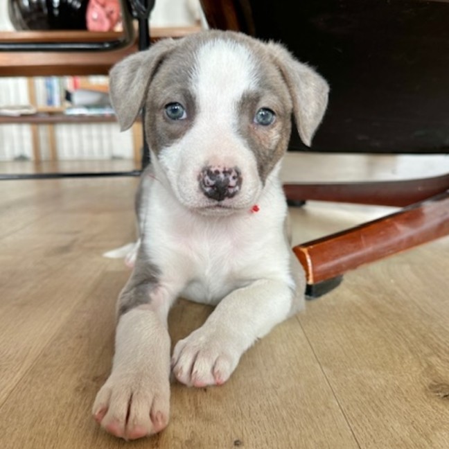 Photo of Riddle