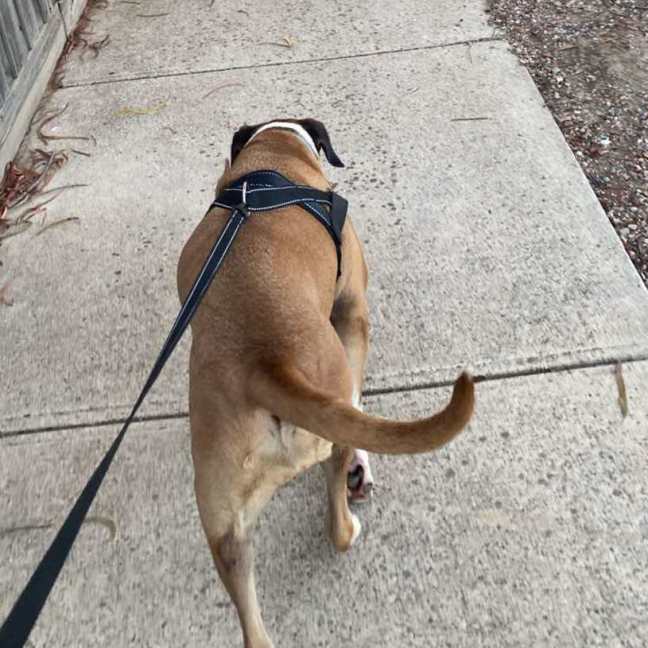 Photo of Bella 