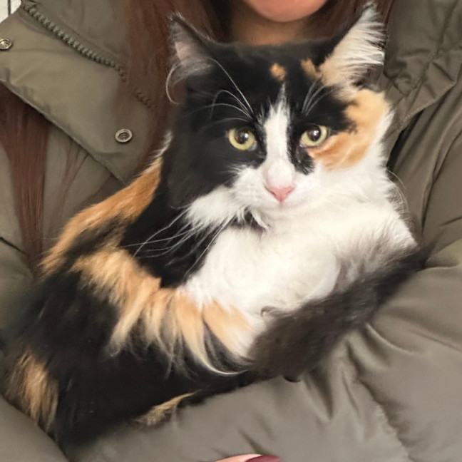 Photo of Roxy