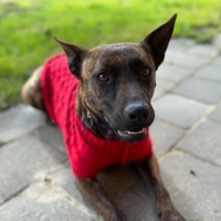 Photo of Cocobella