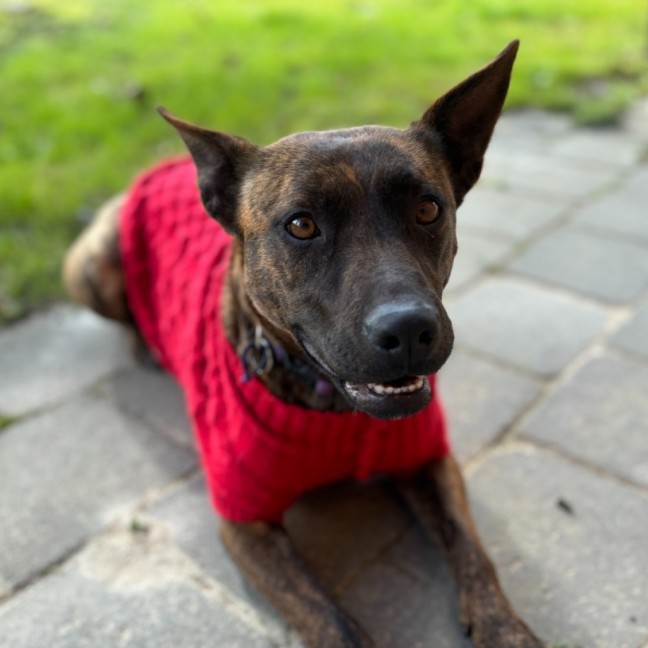 Photo of Cocobella