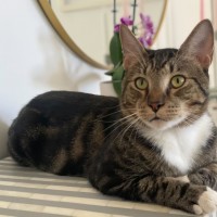 Photo of Larry