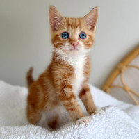 Photo of Rupert
