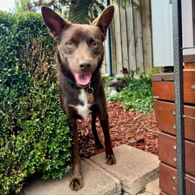 Photo of Max Brenner 🍫 