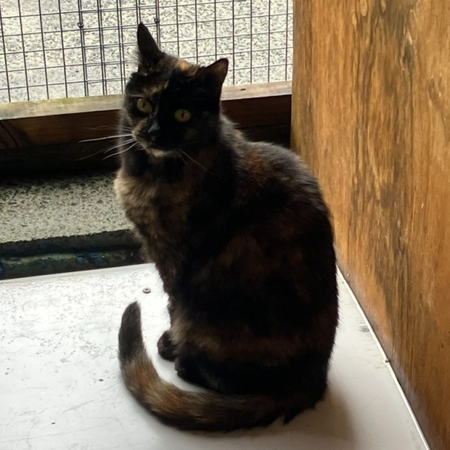 Photo of Zoe